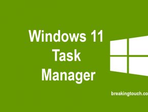 Windows 11 Task Manager, How to Launch Task Manager in Windows 11