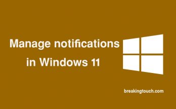 Manage notifications in Windows 11