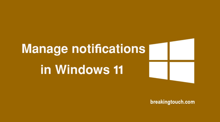 Manage notifications in Windows 11