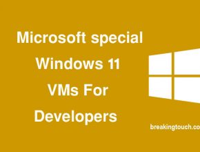 Microsoft special Windows 11 VMs For Developers