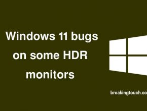 Windows 11 bugs on some HDR monitors