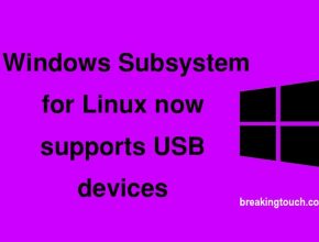 Windows Subsystem for Linux now supports USB devices