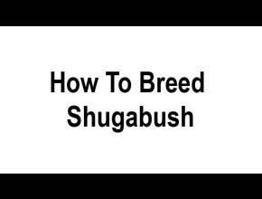 How To Breed Shugabush