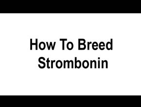 How To Breed Strombonin